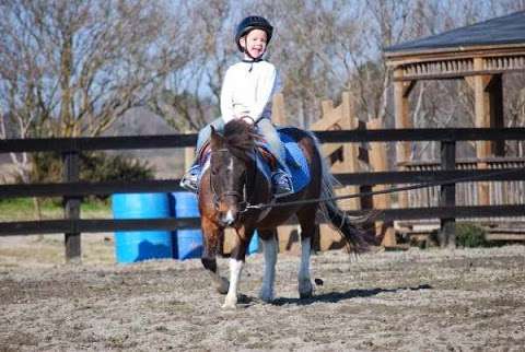 Double D Equestrian Center